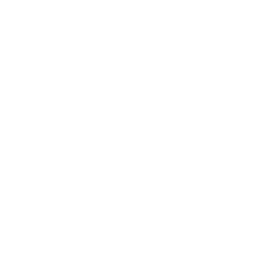LOGO HENKO blanco-02